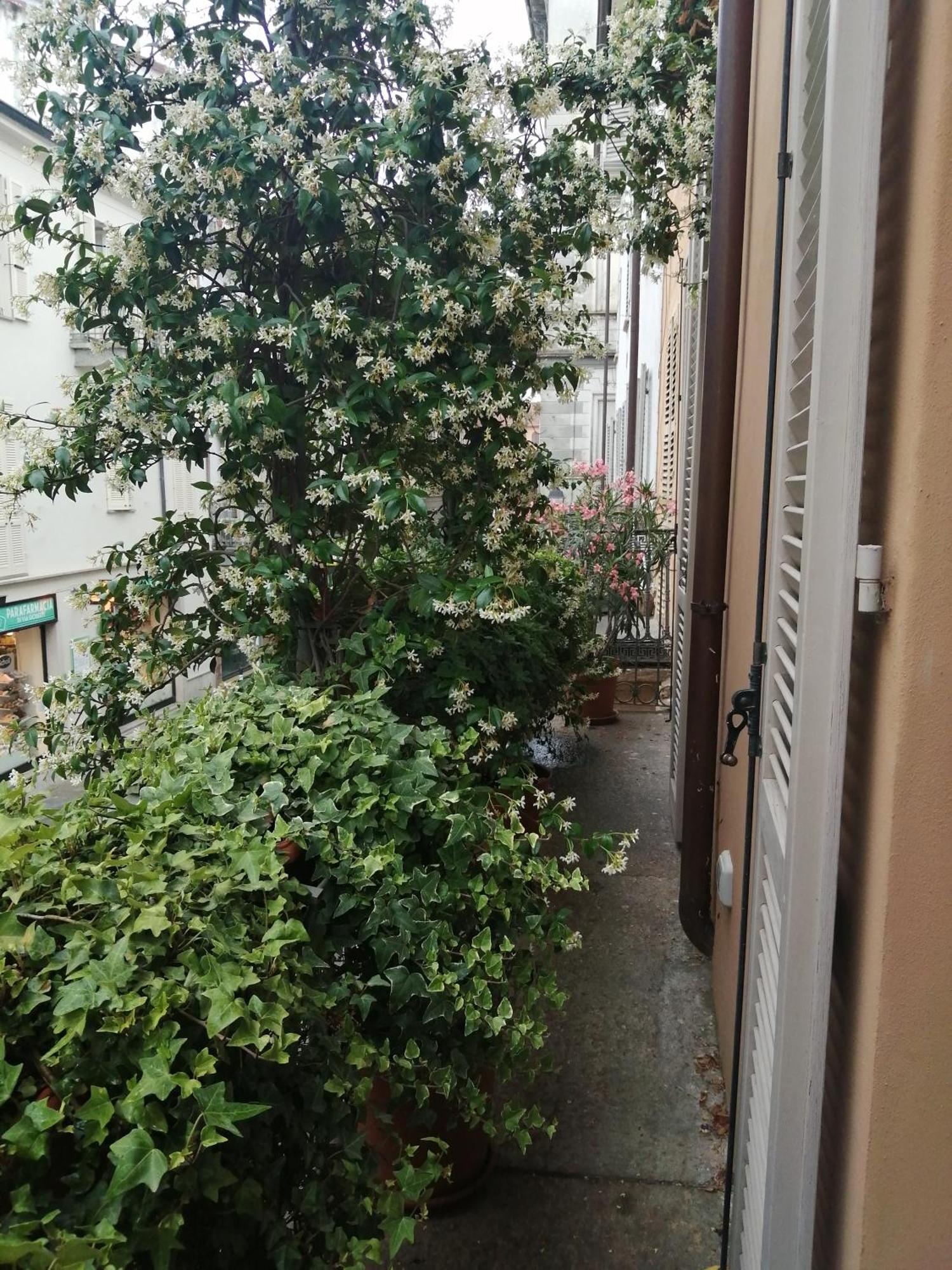 Le Melusine Apartment Vercelli Bagian luar foto